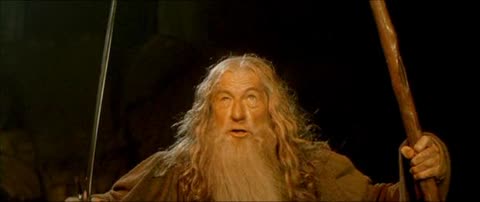 gandalf you shall not pass meme template