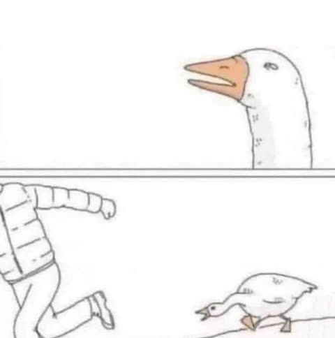 Goose Chase meme template