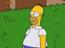 Homer disappears into bush meme template