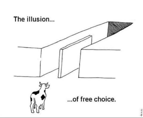 Illusion of free choice meme template