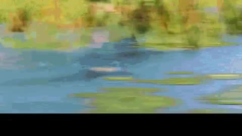 Minion Fast meme template